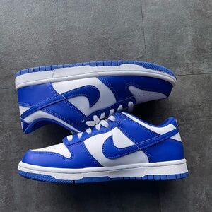 Nike Royal Blue and White Low-Top Sneakers